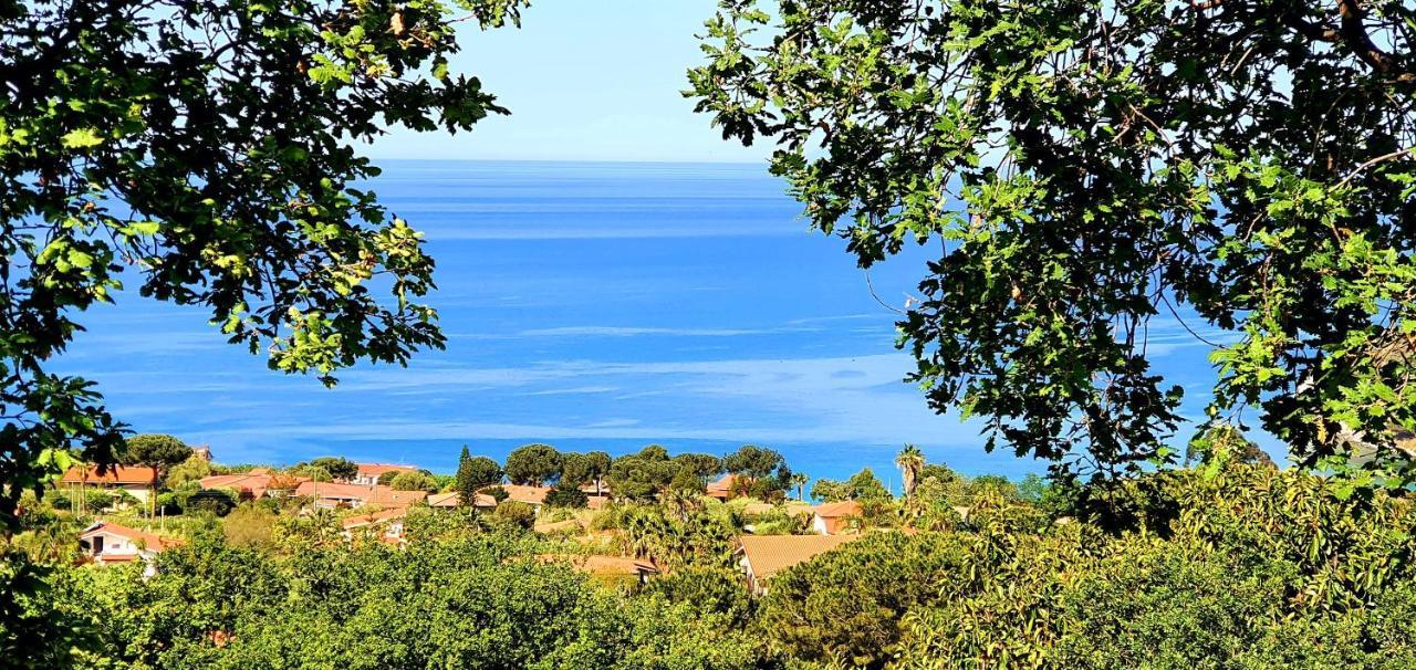 Naturamare Apartments - Piscina Idromassaggio Con Vista Mare Aperta Fino Alle Ore 22-00 Capo Vaticano Extérieur photo